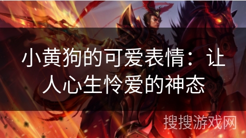 小黄狗的可爱表情:让人心生怜爱的神态 小黄狗的可爱表情:让人心生怜爱的神态