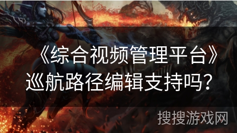 《综合视频管理平台》巡航路径编辑支持吗？