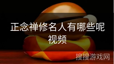 正念禅修名人有哪些呢视频