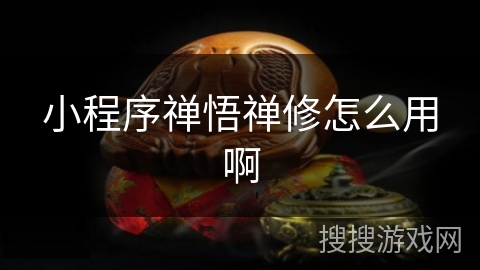 小程序禅悟禅修怎么用啊 小程序禅悟禅修怎么用啊