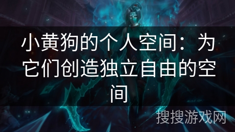 小黄狗的个人空间:为它们创造独立自由的空间 小黄狗的个人空间:为它们创造独立自由的空间