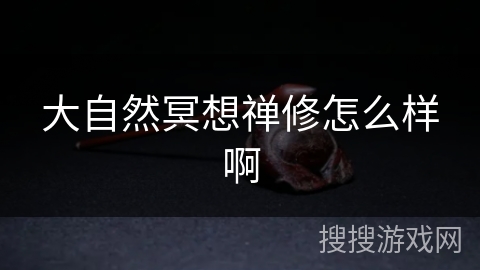 大自然冥想禅修怎么样啊