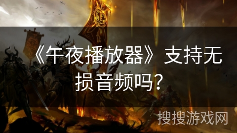 《午夜播放器》支持无损音频吗？