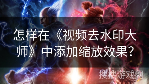 怎样在《视频去水印大师》中添加缩放效果？