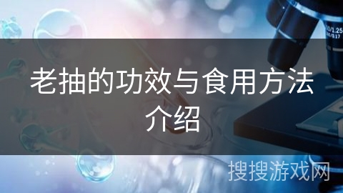老抽的功效与食用方法介绍