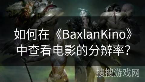 如何在《BaxlanKino》中查看电影的分辨率? 如何在《BaxlanKino》中查看电影的分辨率?