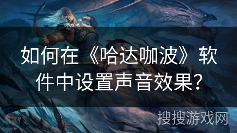 如何在《哈达咖波》软件中设置声音效果? 如何在《哈达咖波》软件中设置声音效果?