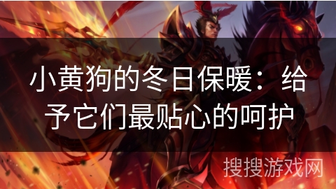 小黄狗的冬日保暖：给予它们最贴心的呵护
