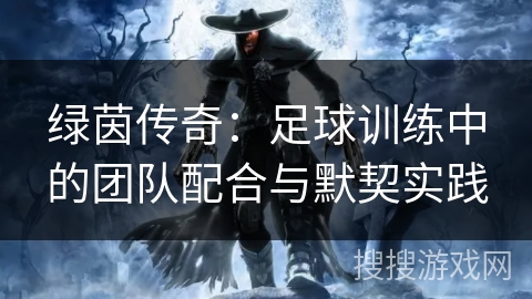绿茵传奇:足球训练中的团队配合与默契实践 绿茵传奇:足球训练中的团队配合与默契实践