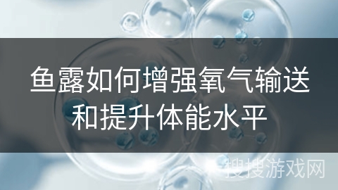 鱼露如何增强氧气输送和提升体能水平