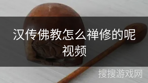 汉传佛教怎么禅修的呢视频 汉传佛教怎么禅修的呢视频