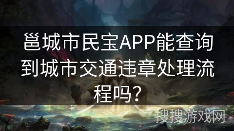 邕城市民宝APP能查询到城市交通违章处理流程吗? 邕城市民宝APP能查询到城市交通违章处理流程吗?