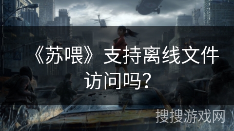 《苏喂》支持离线文件访问吗? 《苏喂》支持离线文件访问吗?
