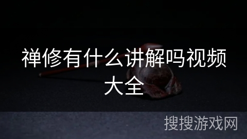 禅修有什么讲解吗视频大全