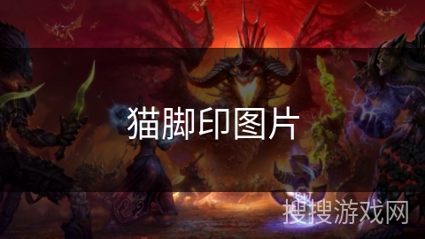 猫脚印图片 猫脚印图片