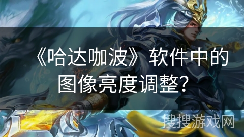 《哈达咖波》软件中的图像亮度调整？