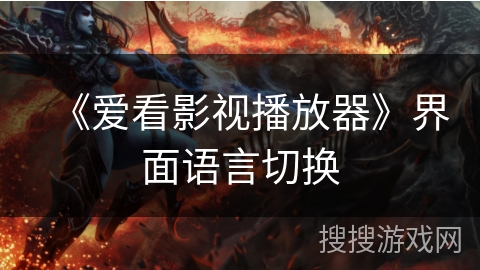 《爱看影视播放器》界面语言切换 《爱看影视播放器》界面语言切换