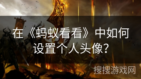 在《蚂蚁看看》中如何设置个人头像？