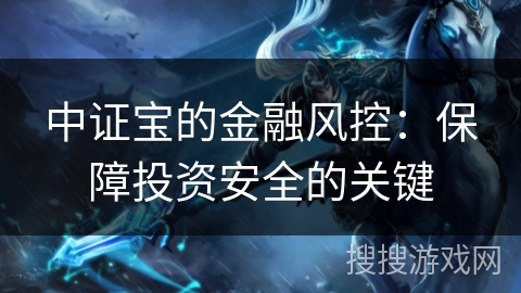 中证宝的金融风控:保障投资安全的关键 中证宝的金融风控:保障投资安全的关键
