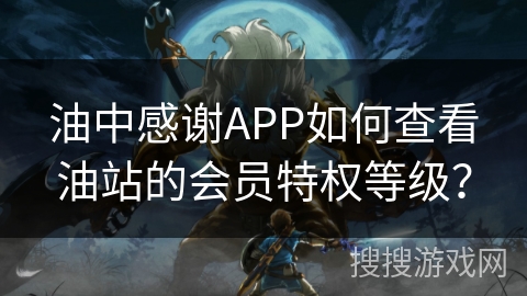 油中感谢APP如何查看油站的会员特权等级? 油中感谢APP如何查看油站的会员特权等级?