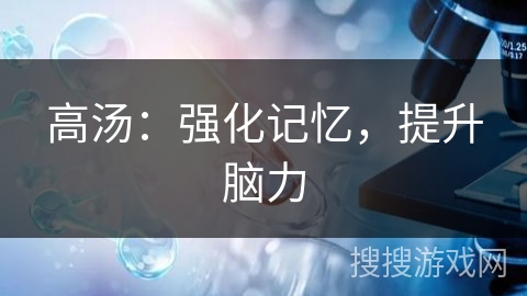 高汤:强化记忆,提升脑力