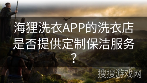 海狸洗衣APP的洗衣店是否提供定制保洁服务？