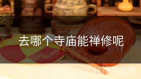去哪个寺庙能禅修呢