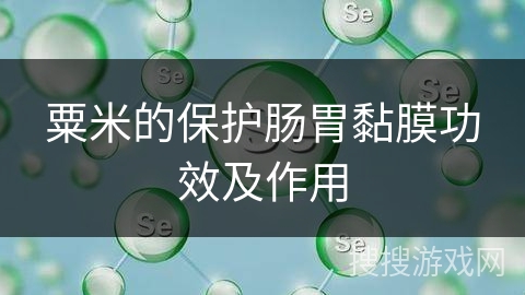 粟米的保护肠胃黏膜功效及作用