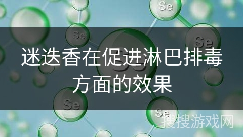迷迭香在促进淋巴排毒方面的效果