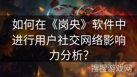 如何在《岗央》软件中进行用户社交网络影响力分析？