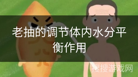 老抽的调节体内水分平衡作用