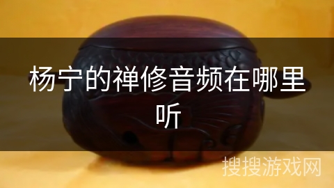 杨宁的禅修音频在哪里听 杨宁的禅修音频在哪里听