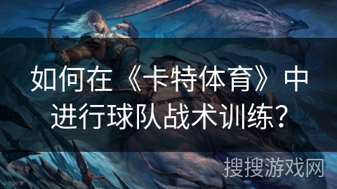如何在《卡特体育》中进行球队战术训练? 如何在《卡特体育》中进行球队战术训练?