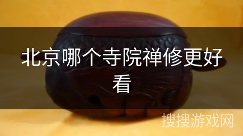 北京哪个寺院禅修更好看