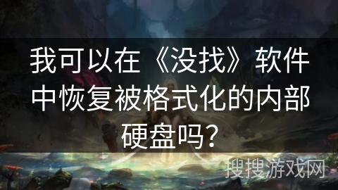 我可以在《没找》软件中恢复被格式化的内部硬盘吗？