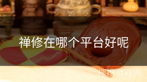 禅修在哪个平台好呢