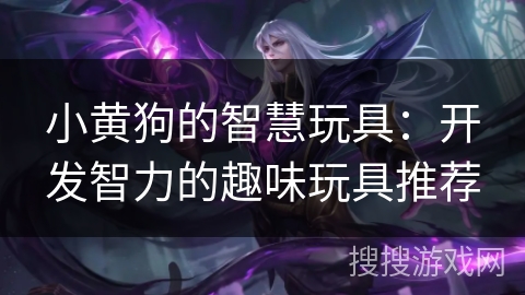 小黄狗的智慧玩具：开发智力的趣味玩具推荐