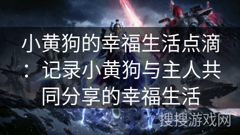 小黄狗的幸福生活点滴：记录小黄狗与主人共同分享的幸福生活