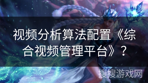 视频分析算法配置《综合视频管理平台》？