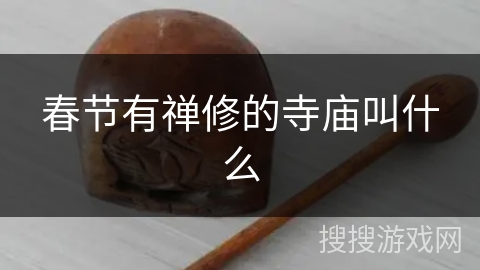 春节有禅修的寺庙叫什么 春节有禅修的寺庙叫什么