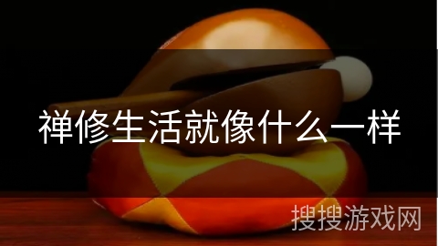 禅修生活就像什么一样 禅修生活就像什么一样