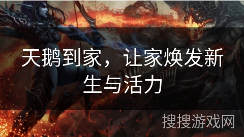 天鹅到家,让家焕发新生与活力 天鹅到家,让家焕发新生与活力