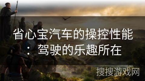 省心宝汽车的操控性能:驾驶的乐趣所在 省心宝汽车的操控性能:驾驶的乐趣所在