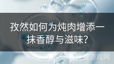 孜然如何为炖肉增添一抹香醇与滋味？