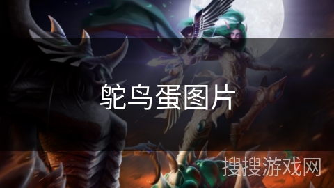 鸵鸟蛋图片 鸵鸟蛋图片