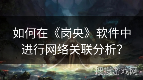 如何在《岗央》软件中进行网络关联分析？
