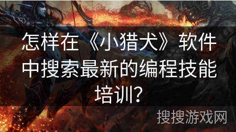 怎样在《小猎犬》软件中搜索最新的编程技能培训? 怎样在《小猎犬》软件中搜索最新的编程技能培训?