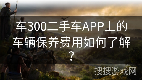 车300二手车APP上的车辆保养费用如何了解? 车300二手车APP上的车辆保养费用如何了解?