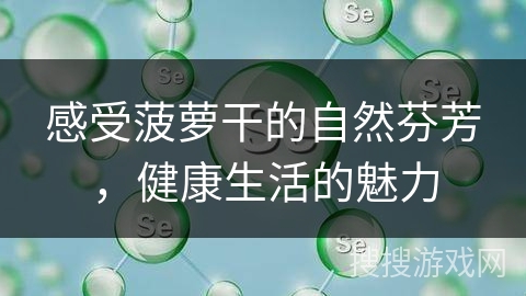 感受菠萝干的自然芬芳，健康生活的魅力