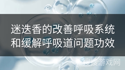 迷迭香的改善呼吸系统和缓解呼吸道问题功效